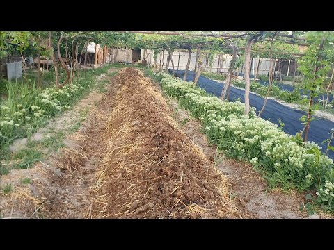 Видео: ДИККАТ !!! Гунгни ювмасдан Биогумус таййорлаш технoлогияси !