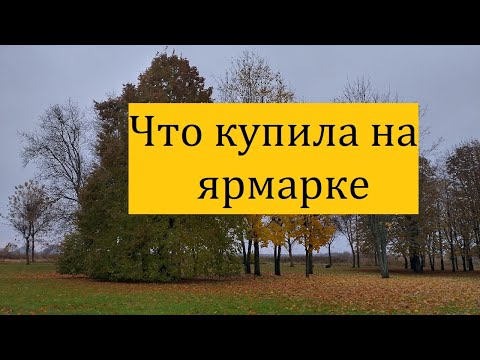 Видео: Что купила на ярмарке
