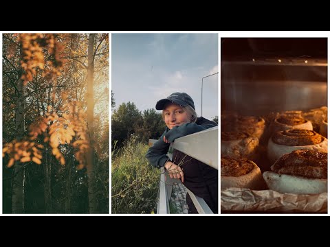 Видео: Начало осени. Неспешные будни. Много красивых мест 📷