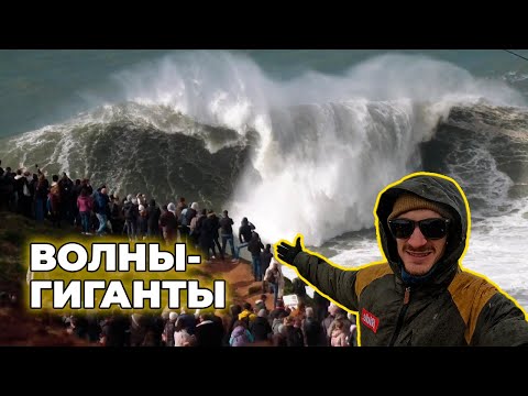 Видео: Серфинг на больших волнах в Назаре, Португалия