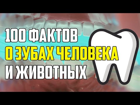 Видео: 100 НЕОЖИДАННЫХ ФАКТОВ О ЗУБАХ ЧЕЛОВЕКА И ЖИВОТНЫХ