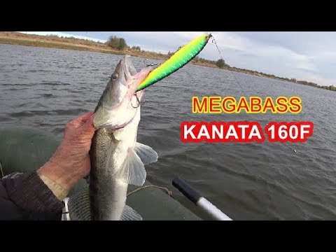 Видео: MEGABASS Kanata 160F.Если щуки нет,ловит судака.Zander Fishing.
