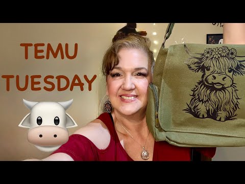 Видео: ВТОРНИКОВАЯ ПОКУПКА TEMU💥Хайлендские коровы💥Ювелирные изделия и многое другое!!