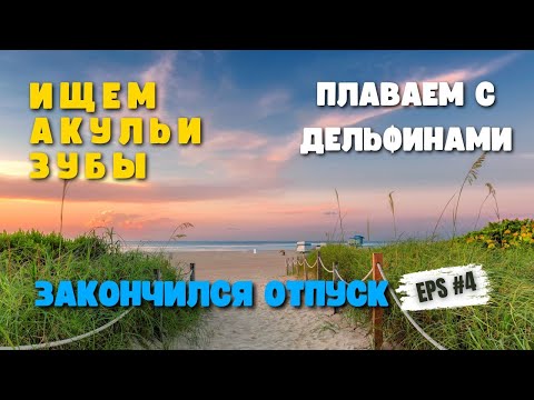 Видео: Флорида Акулий пляж\\Морская прогулка к дельфинам\\Отдых в Сарасоте.