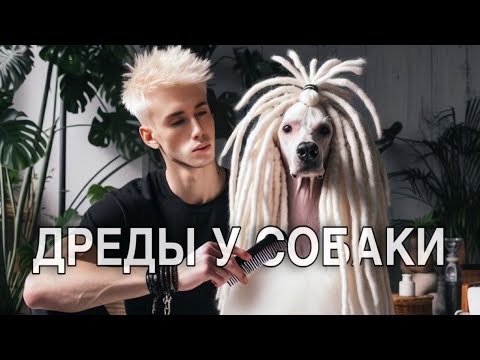 Видео: ЗАПЛЕЛ АФРОКОСЫ СОБАКЕ 🐩😳/ ВОЗНЯ С РАСТЕНИЯМИ🪴: РАСПАКОВКА НОВОГО ГРУНТА, ПЕРЕСАДКИ И ОБЗОР НОВИНОК🫢