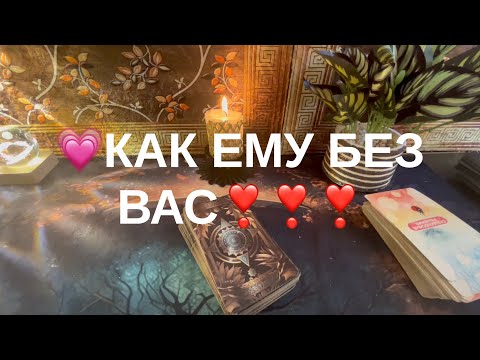 Видео: 13 ноября 2025 г.