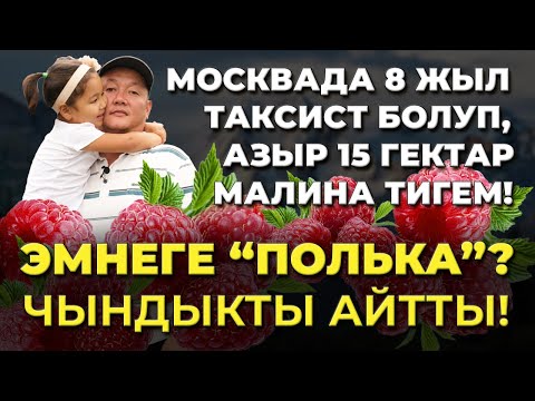 Видео: Кыргызстандын климатына ПОЛЬКА эң ыңгайлуу! Себептерин айтып берди!