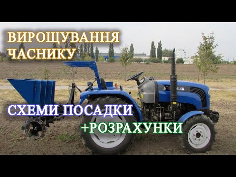 Видео: Механізоване вирощування часнику: схеми посадки, розрахунки та техніка