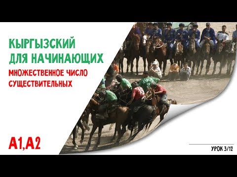 Видео: Кыргызский язык для начинающих | Множественное число существительных