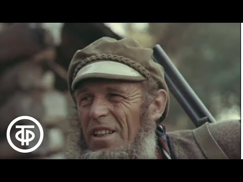 Видео: Рассказы об охоте (1980)