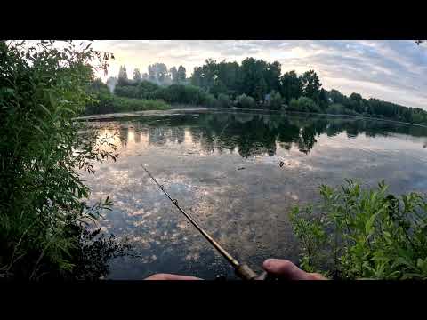 Видео: Джеркбейт Salmo Maas Marauder