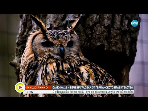 Видео: „Нищо лично”: Само на 26 и вече с награда от германското правителство