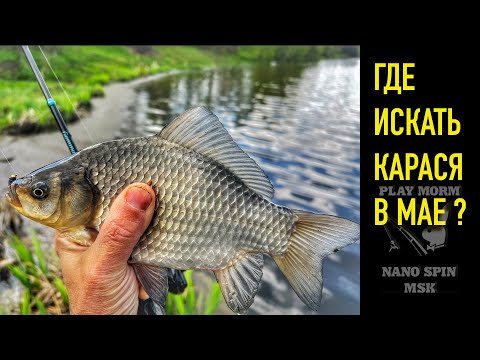 Видео: МОРМЫШИНГ - НИМФИНГ .  ГДЕ ИСКАТЬ КАРАСЯ В МАЕ?