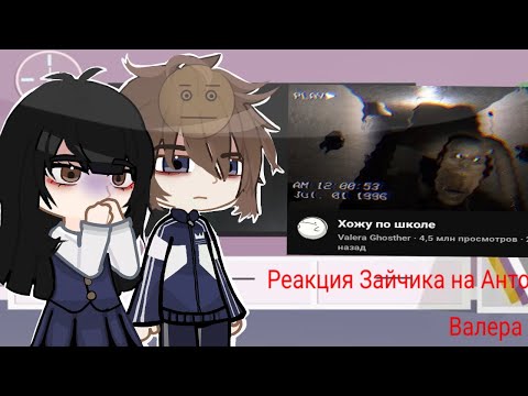 Видео: Реакция Зайчика на Антона как Валера Гостер:)