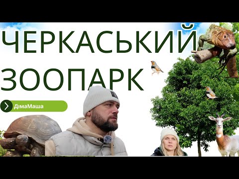 Видео: Черкаський зоопарк! 🦁🐒 Ви маєте це побачити!"