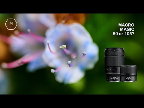 Видео: Какой MC? Nikon MC 105 мм или MC 50 мм | Какой выбрать? | Мэтт Ирвин