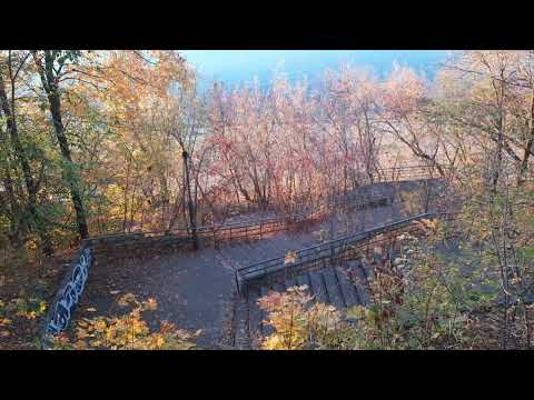 Видео: Боюсь,🌳но #дочь уговорила... Закат на Волге... #Погода радует!