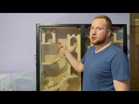 Видео: КАК СОДЕРЖАТЬ КРЫС | ДОМАШНИЙ ПИТОМНИК КРЫС