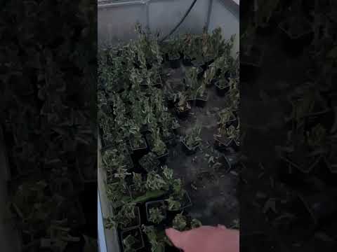 Видео: Обзор уборки. Полезные советы👌