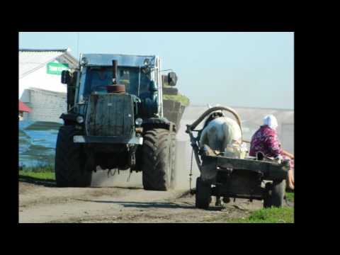 Видео: Чутеево