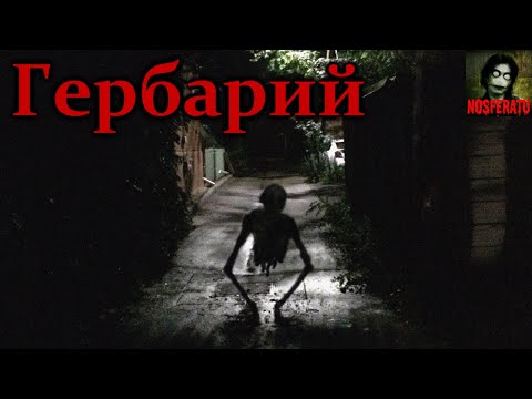 Видео: Гербарий - Сборник страшных историй. Часть 1. Страшные истории на ночь. Страшилки на ночь