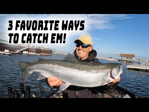 Видео: 3 простых способа поймать осеннего стальноголового лосося и ручьевую форель!