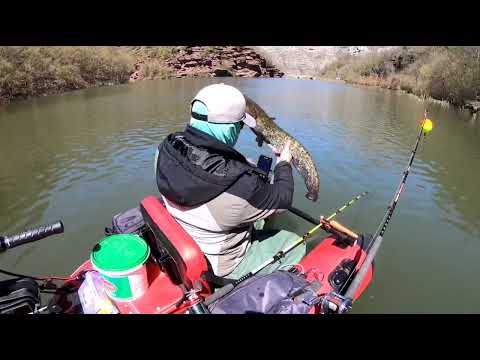 Видео: Риболов на кльонк с проходилка