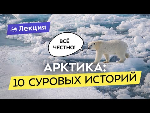 Видео: Арктика глазами туристов, учёных и бегуна. Невероятные истории и популярные маршруты севера