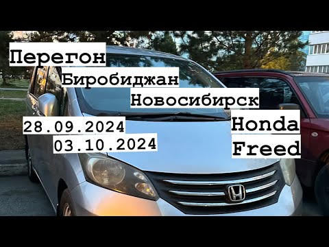 Видео: Перегон из Биробиджана в Новосибирск Honda freed 28.09.2024-03.10.2024