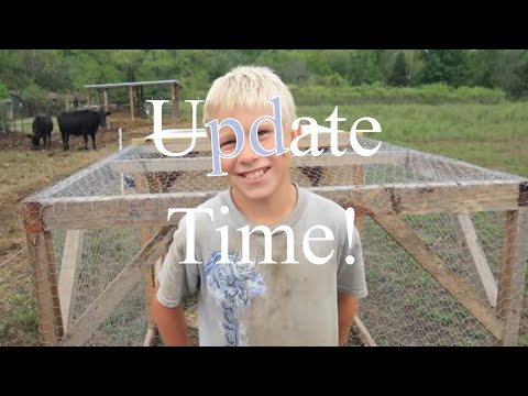 Видео: Благословения усадьбы, о которых мы вам не рассказывали