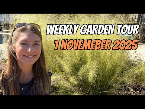Видео: Еженедельный тур по саду 1 ноября 2025 г.