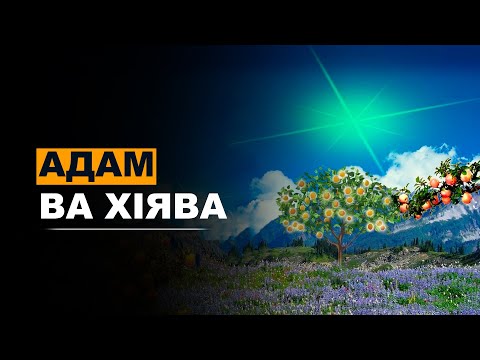 Видео: Адам ва Хlява