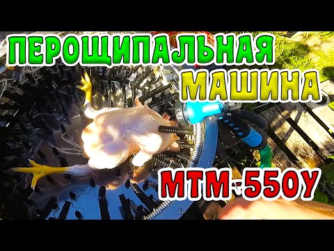 Видео: Ощип БРОЙЛЕРА в ПЕРОСЪЕМНОЙ МАШИНЕ МясТехМаш МТМ-550У