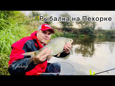 Видео: Рыбалка на реке Пехорка! Фидер 19.08.23