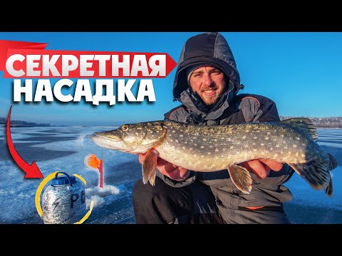 Видео: Расставил ЖЕРЛИЦЫ на ЩУКУ и понеслось! Рыбалка на ЖЕРЛИЦЫ зимой 2021!