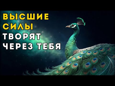 Видео: Как только вы поймете ЭТО, Высшие Силы начнут творить ЧЕРЕЗ ВАС (Тайна со-творчества)