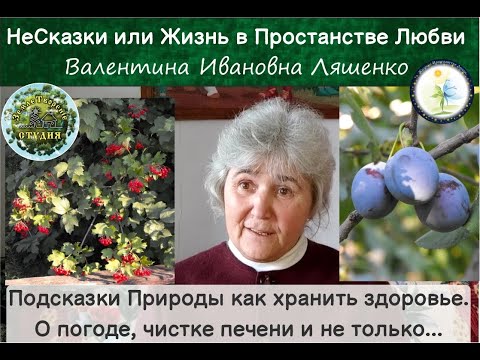 Видео: Подсказки Природы как хранить здоровье. О погоде, чистке печени и не только.