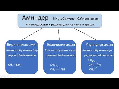 Видео: Аминдер (алифатикалык)