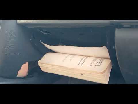 Видео: 2 листопада 2025 р.