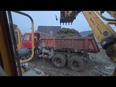 Видео: 10 ноября 2025 г.