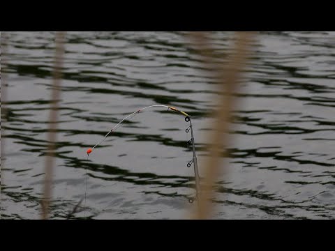 Видео: РЫБАЛКА НА БОКОВОЙ КИВОК В АПРЕЛЕ. ЛОВЛЯ КАРАСЯ.