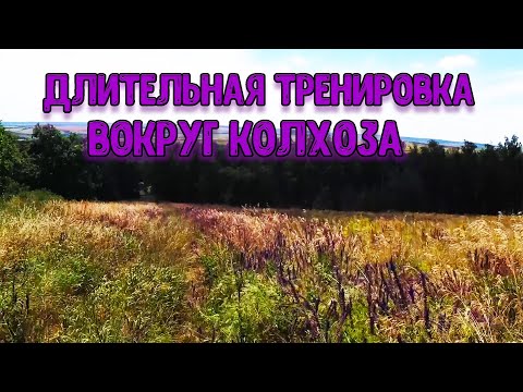 Видео: Длительная тренировка вокруг колхоза