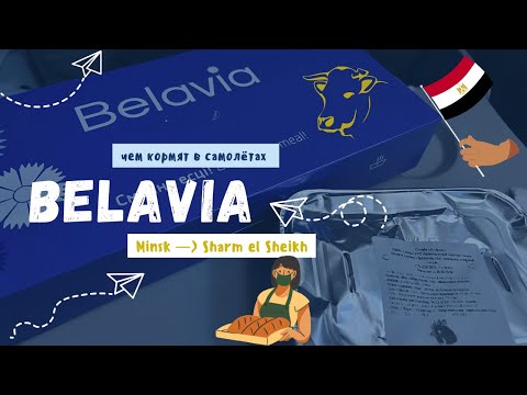 Видео: ЧЕМ КОРМЯТ В САМОЛЁТАХ BELAVIA // за 6,5 часовой ПЕРЕЛЁТ // В 2023 ГОДУ?