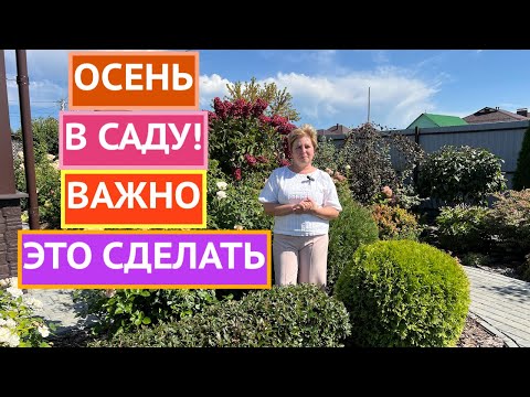 Видео: ВАЖНЫЕ САДОВЫЕ ДЕЛА СЕНТЯБРЯ!