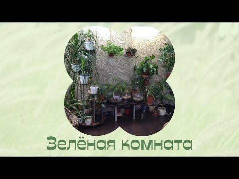 Видео: Грандиозная переделка ;) Цветы дома.