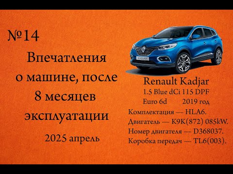 Видео: Впечатления о машине после 8 месяцев эксплуатации Renault Kadjar 1.5 Blue dCi 115 DPF Euro 6d