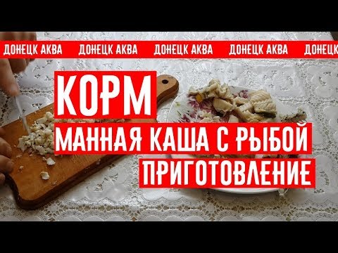 Видео: Amazing idea, как сделать Корм для рыб, How to make fish food, cómo hacer alimento para peces,