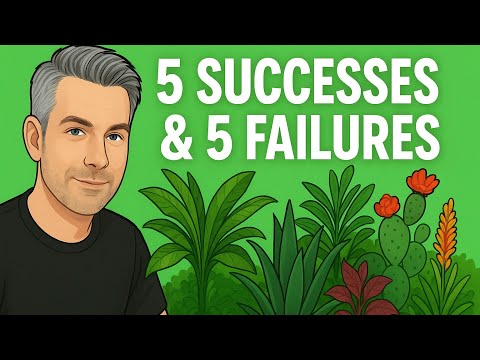 Видео: Что сработало хорошо (и не очень) в этом году!