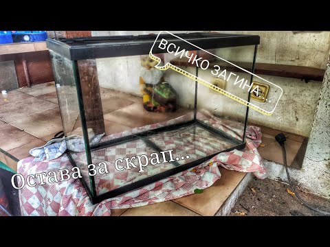 Видео: За трудностите и провалите в хобито