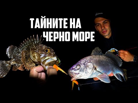 Видео: Риболов на врана, скорпид, сафрид, зарган!